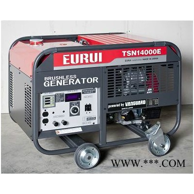 EURUI日本原裝進(jìn)口東洋發(fā)電機(jī)組TSN14000E