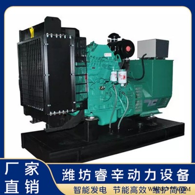 發(fā)電機(jī)廠家 發(fā)電機(jī) 180kw發(fā)電機(jī)組 睿辛動(dòng)力