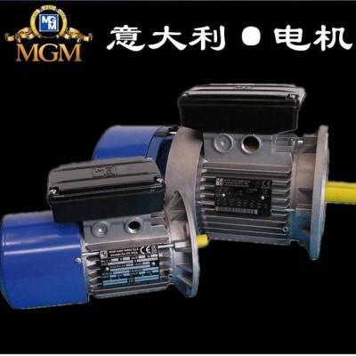 現貨出售意大利MGM電磁制動剎車電機意大利原裝進口電機現貨