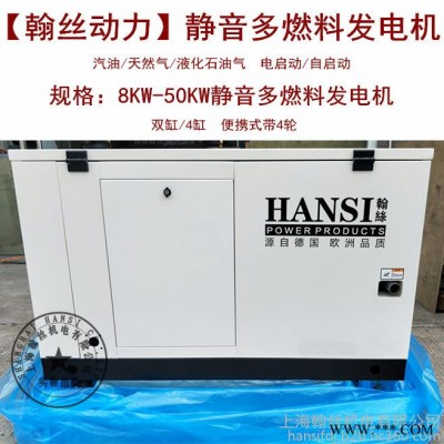 HANSI翰絲HS15REG靜音燃氣發電機