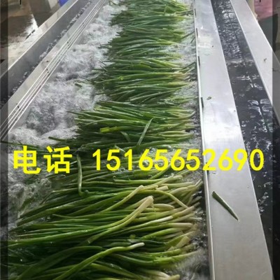 蔬菜加工必備清洗機 凈菜清洗食品加工設備