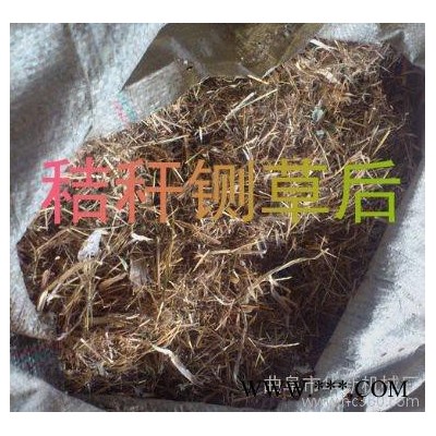 小型秸稈揉搓機產量-青貯飼料揉搓機參數-青飼料加工設備