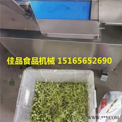 韭菜大蔥切段切片機 香菜酸菜切絲機切段機 蔬菜加工設備