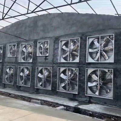 立山環保LSFY-900 22000風量重錘式負壓風機 不銹鋼負壓排風機  防爆型負壓風機