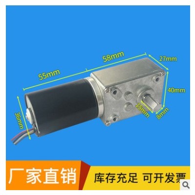 偉盛4058GW直流無刷渦輪蝸桿減速電機12V24V渦輪蝸桿