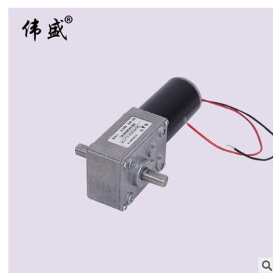 WS-4058GW雙出軸渦輪蝸桿減速電機12V24V正反轉直流齒輪減速馬達