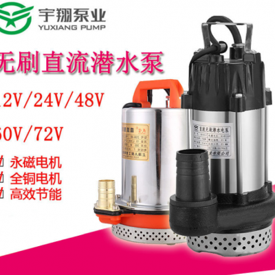 不銹鋼直流無刷潛水泵12V24V48V60V家用高揚程潛水泵電瓶車抽水泵