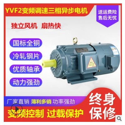 YVP/YVF2三相變頻調速電動機37/45/55/75/90/110/132kw變頻電機