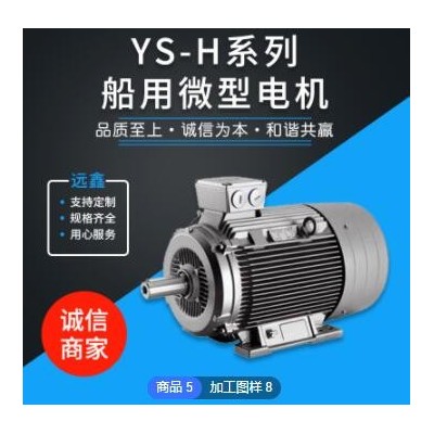 YS-H系列 船用微型電機 廠家直供 支持定制 船用電機 廠家定制