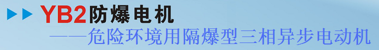 YB2防爆電機——危險環境用隔爆型三相異步電動機