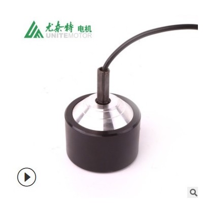 尤奈特四輪滑板電動(dòng)機(jī)無刷直流輪轂電機(jī)可換 100W 250W24VGF055AH