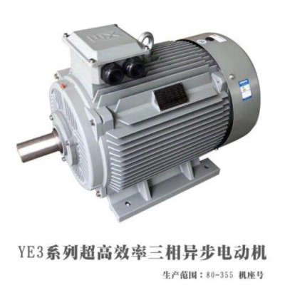 廠家直供18.5KW三相異步電動機YE2-200L1-6 18.5kw高效節能電機