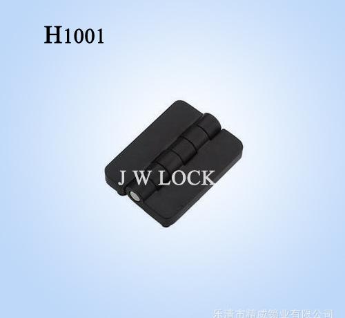 H1001.