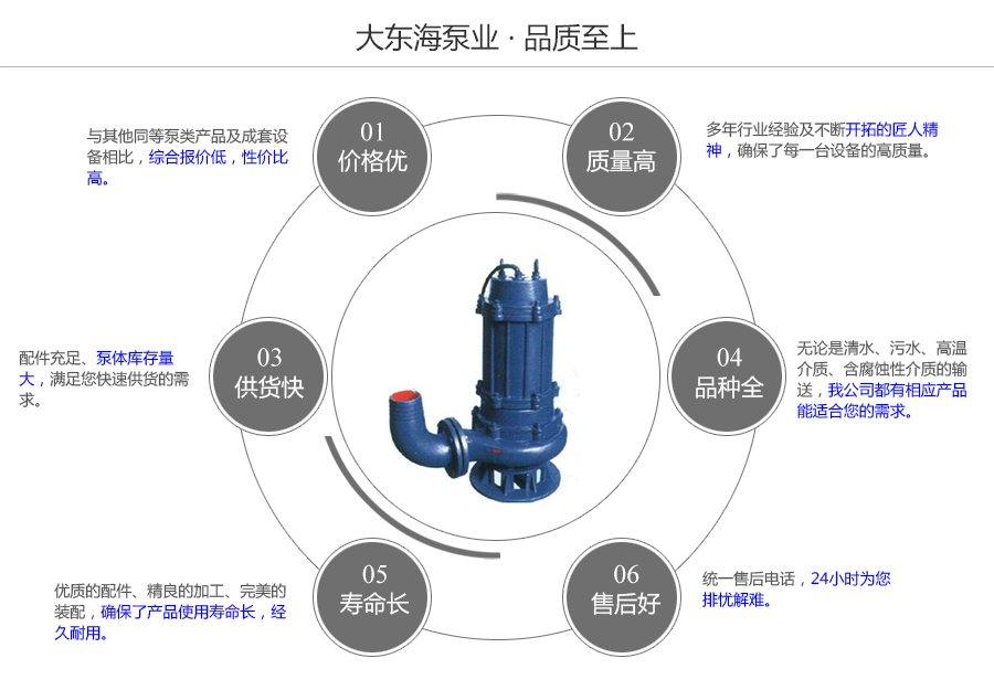 大東海泵業QW型潛污泵質量保證圖